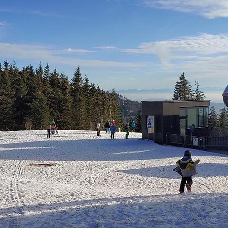 Bdapartmany Lipno nad Vltavou Buitenkant foto