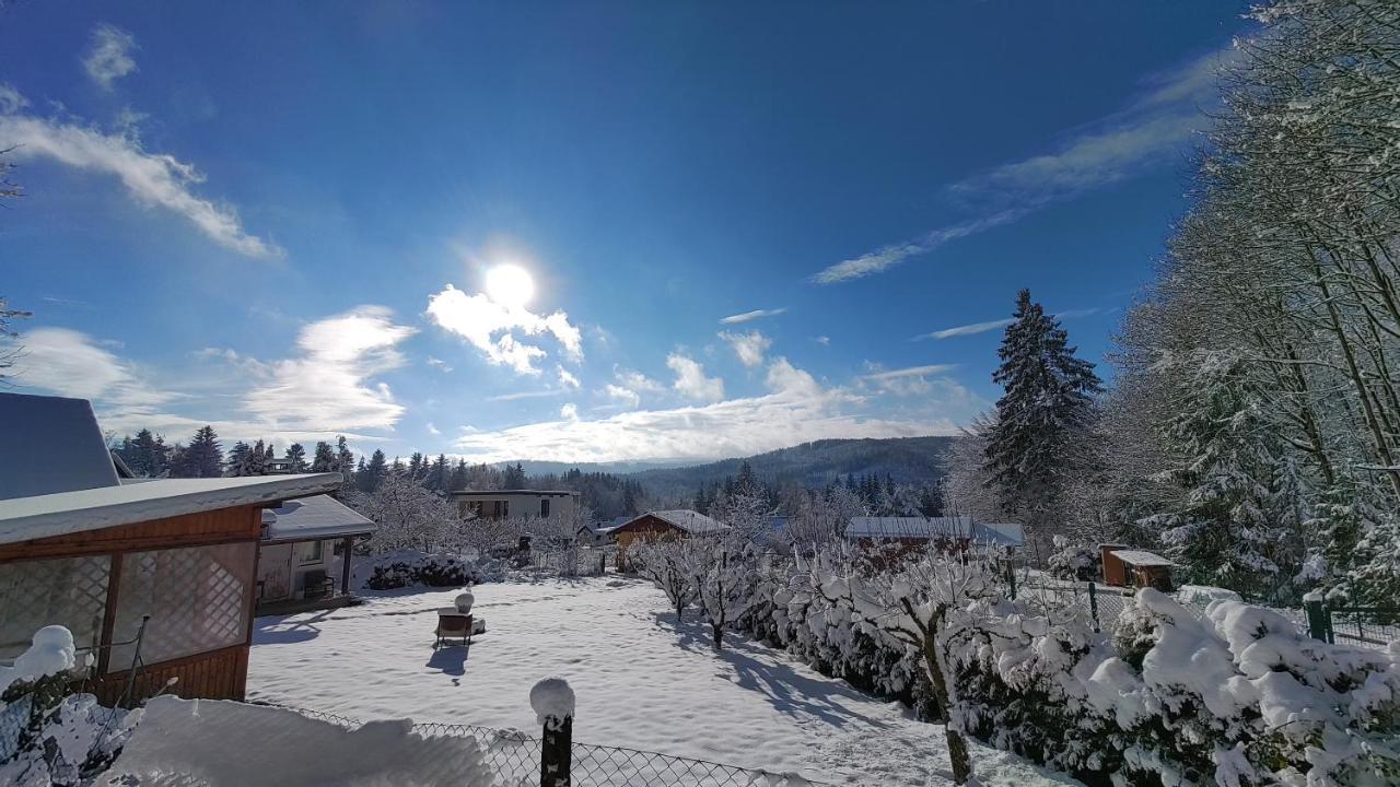 Bdapartmany Lipno nad Vltavou Buitenkant foto