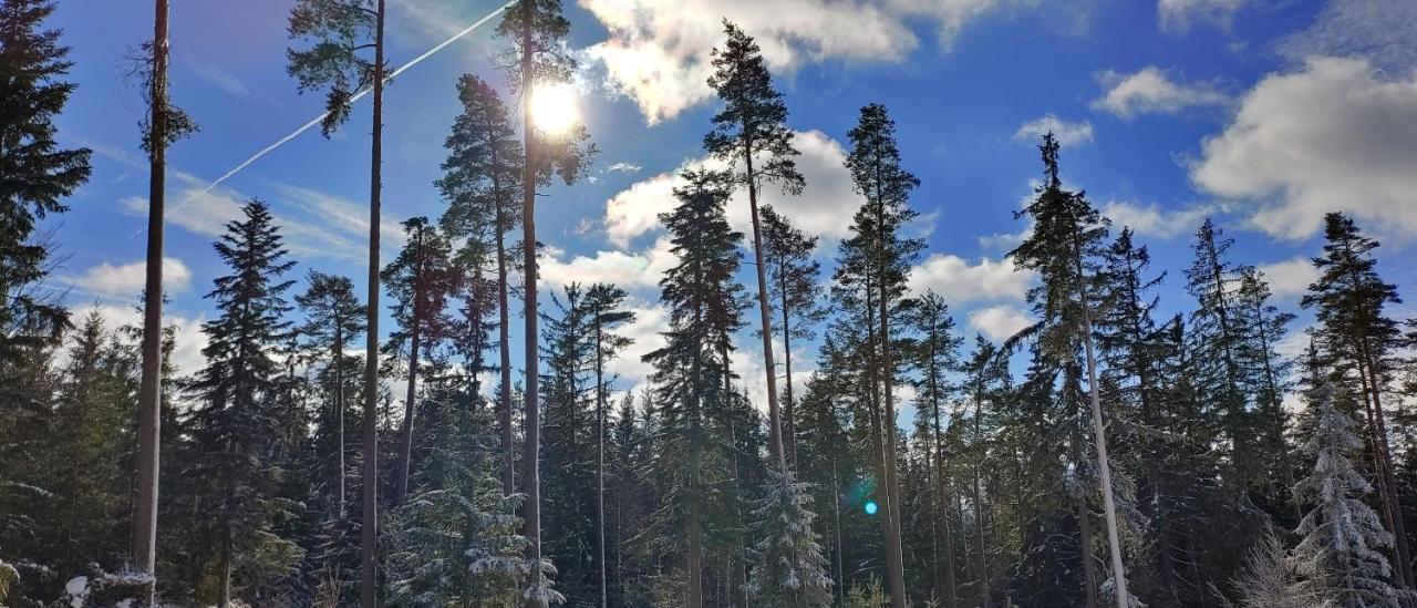 Bdapartmany Lipno nad Vltavou Buitenkant foto
